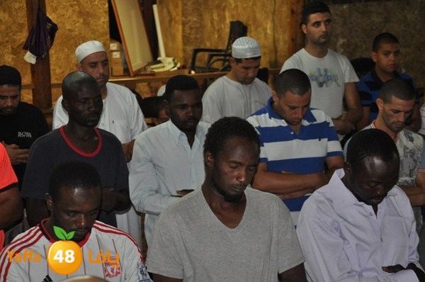 trawe7 mahmodiya 713 (38).JPG